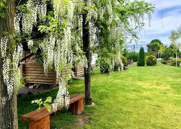 Picnic Park